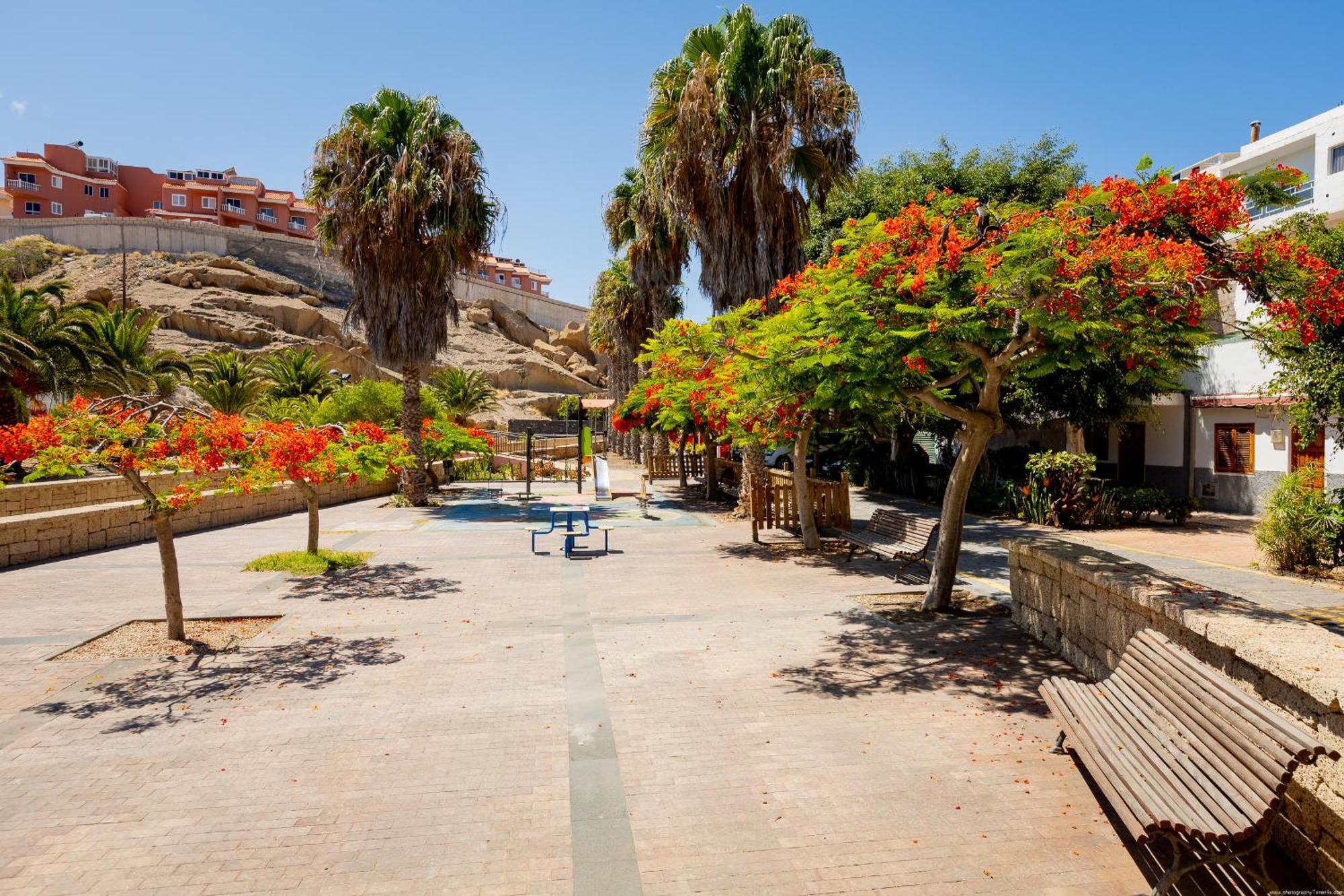 La Jaca House Bijagua, Tajao, Tenerife מראה חיצוני תמונה